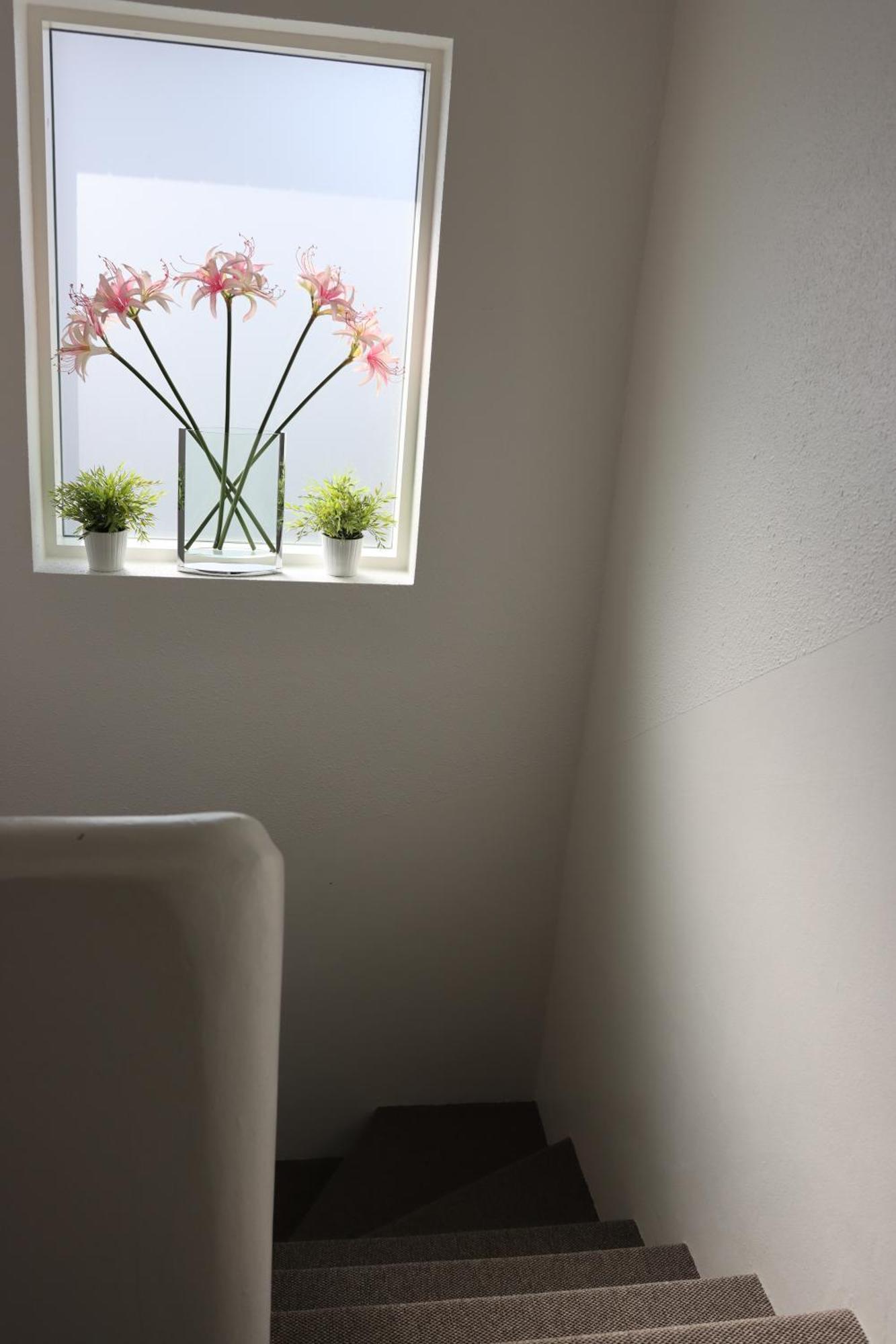 Guesthouse Dyngja Höfn Екстериор снимка