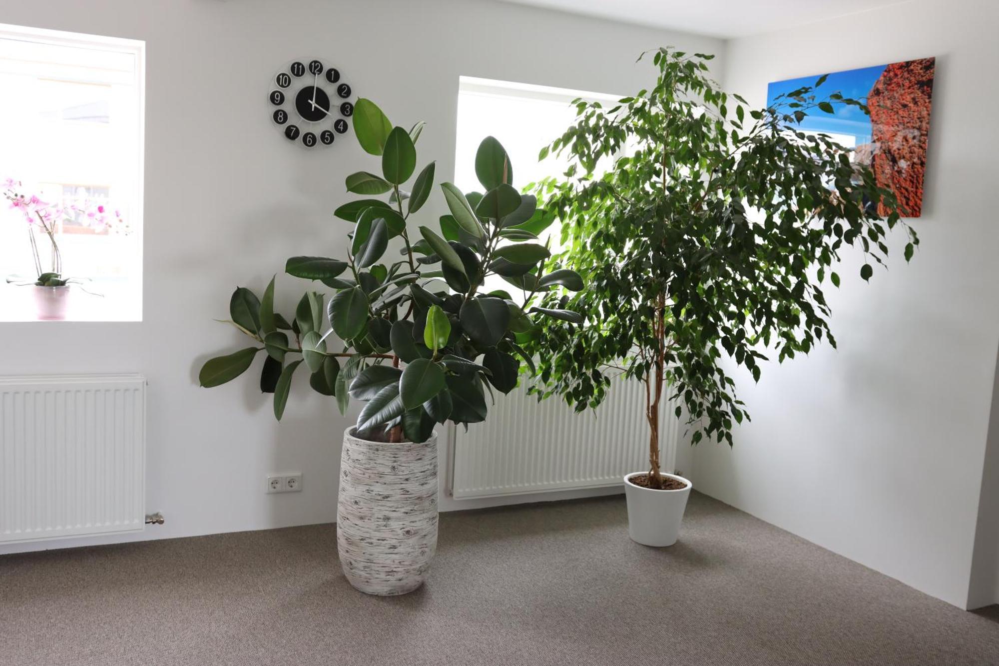 Guesthouse Dyngja Höfn Екстериор снимка